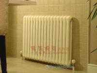 供應(yīng)供應(yīng)零售批發(fā)做工程實(shí)惠的鋼制暖氣片_暖通制冷_世界工廠網(wǎng)中國(guó)產(chǎn)品信息庫(kù)