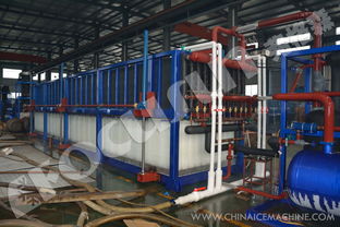 弗格森大型日產(chǎn)250噸鋁板蒸發(fā)式直冷塊冰機 長期供應全球大型制冰工廠