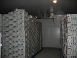 邯鄲包裝批發 可靠的邯鄲包裝廠家貨源 供應信息